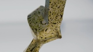 Thumbnail of post image 054